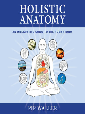 cover image of Holistic Anatomy